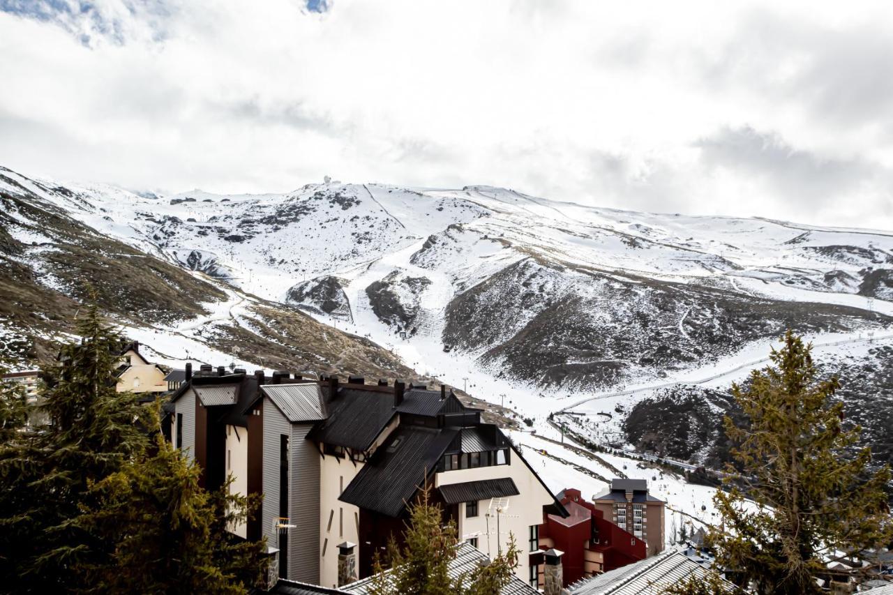 Estudio Queen Sierra Nevada Exterior photo